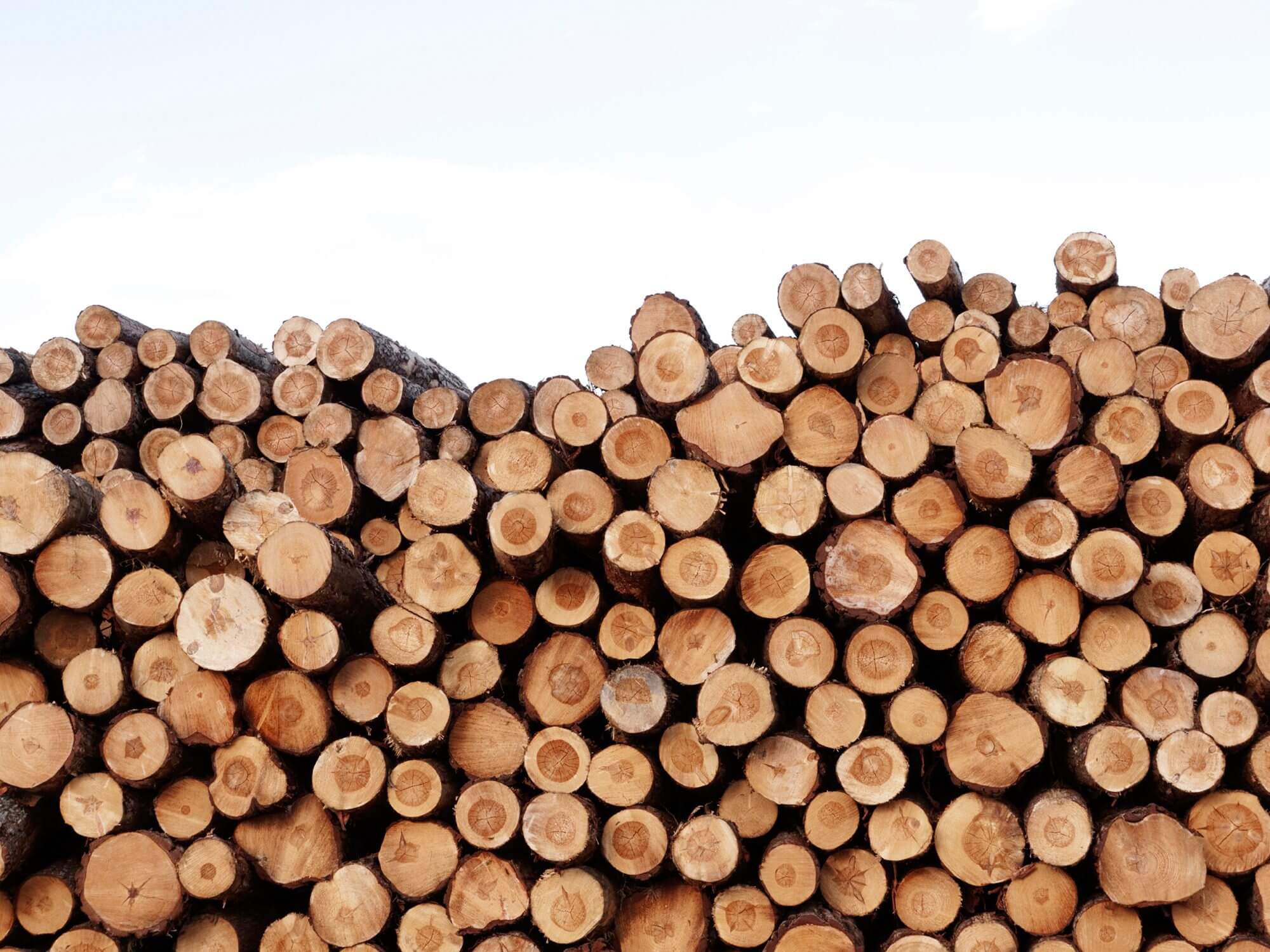 Sourcing timber responsibly