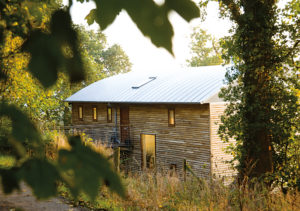 metal roof and timber cladding