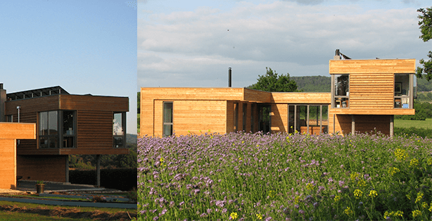 Hookgate Cottage by Orme Architects