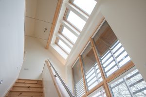 rooflights