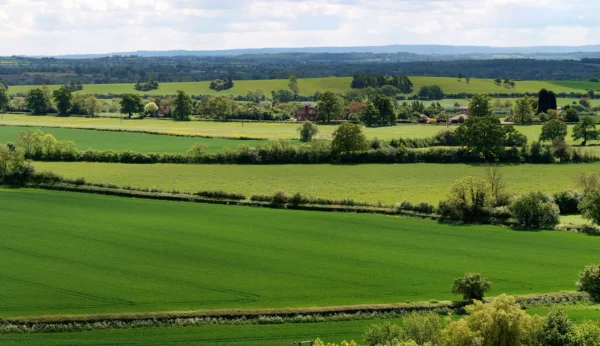 Green fields and countryside landscape