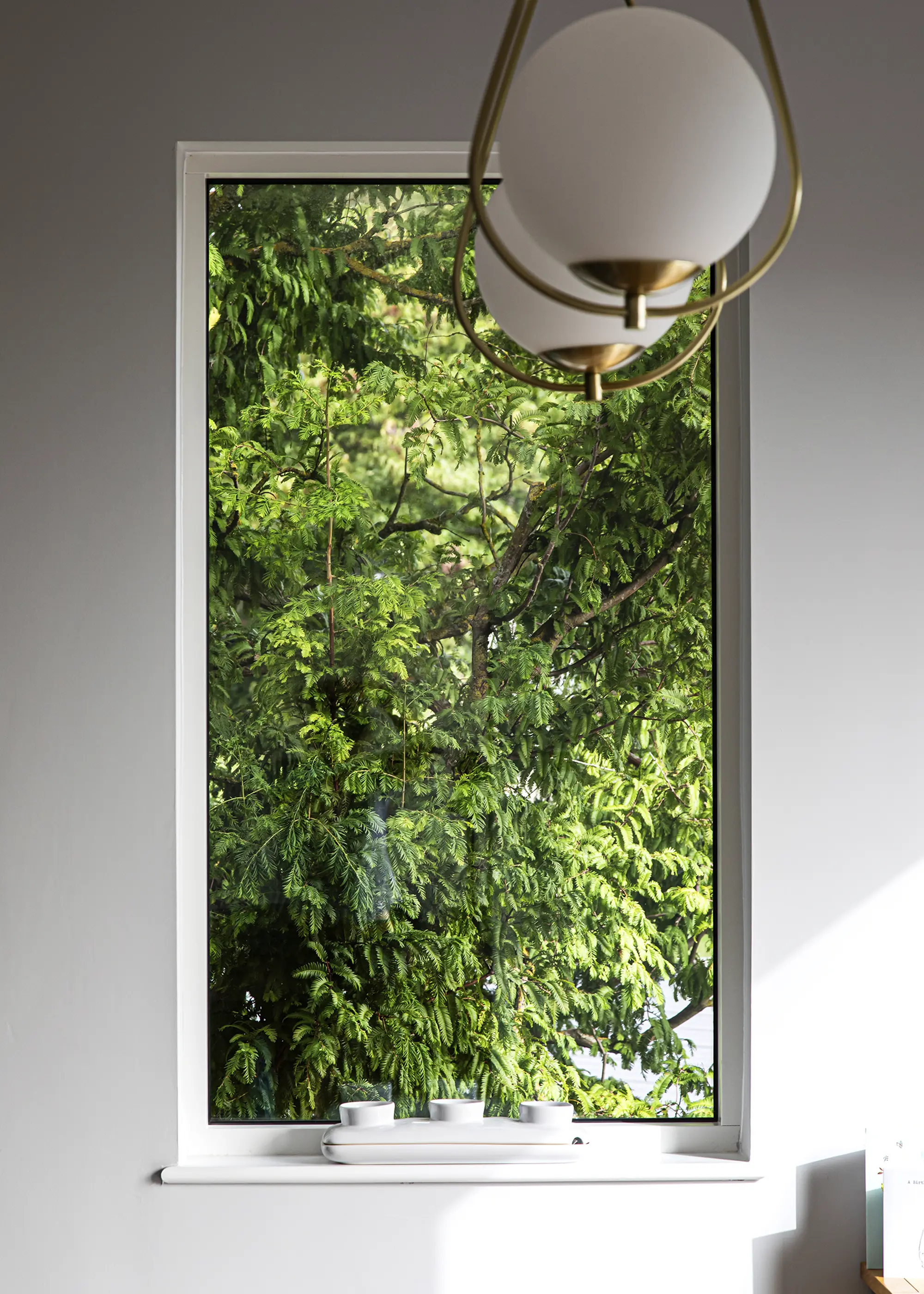 Timber Windows Guide – How to Specify Timber Glazing for Your Project