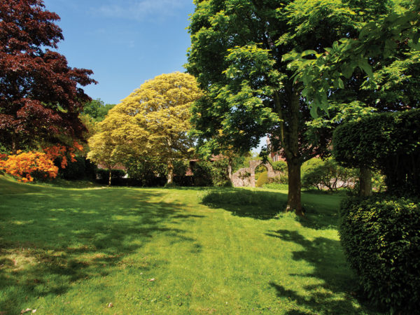 building plot with mature trees