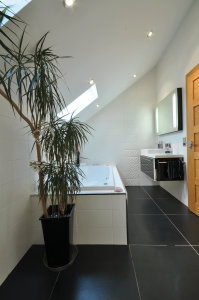 Modern bathroom with pitched roof