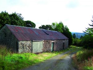 Barn pre renovation