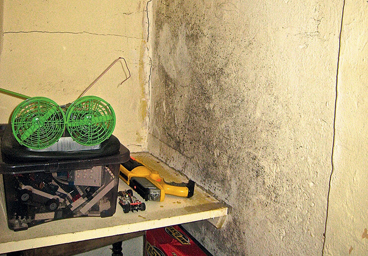 How to Treat Condensation & Other Damp Problems Build It