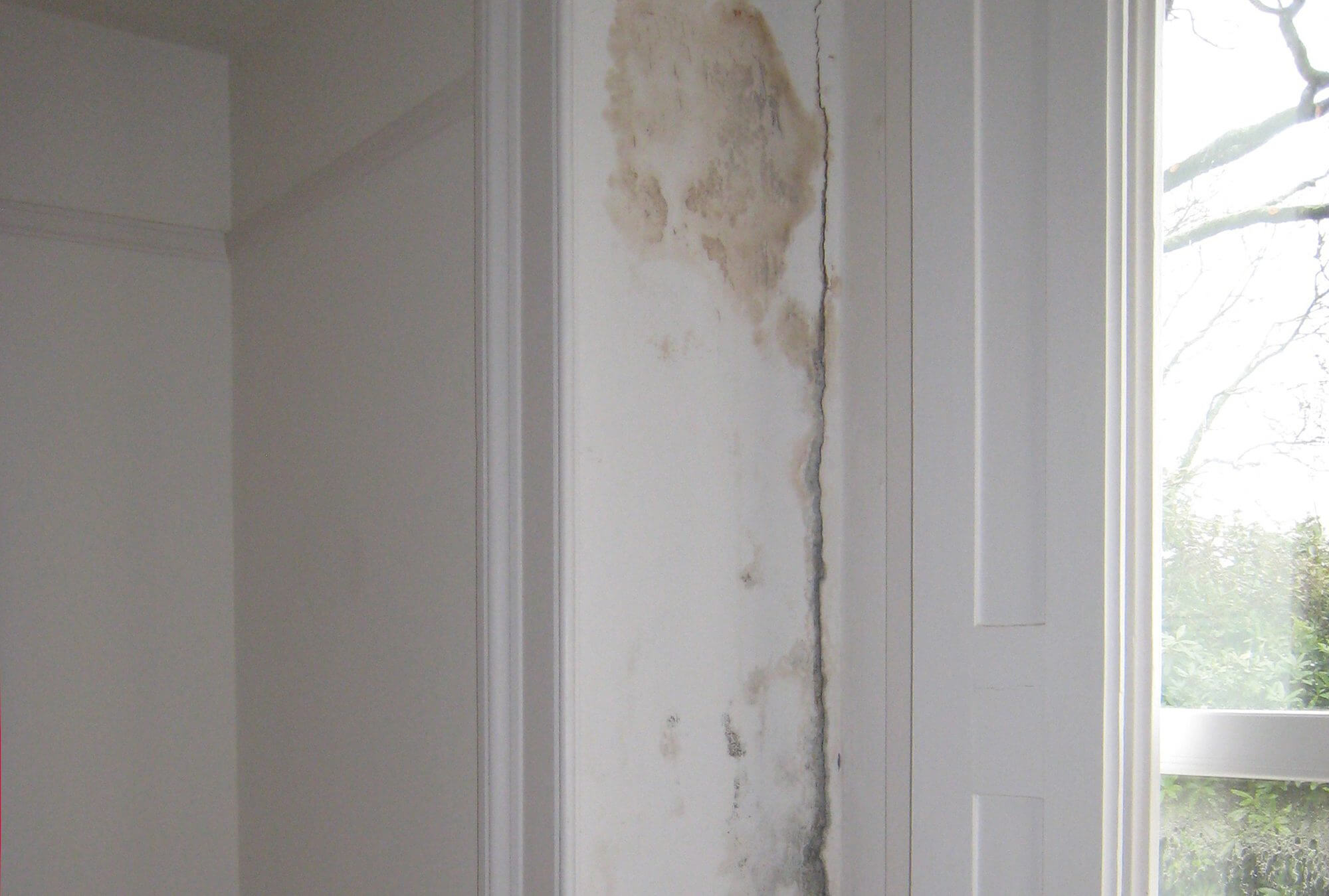 How to Treat Condensation & Other Damp Problems Build It