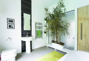 Simple bathroom with bamboo plant