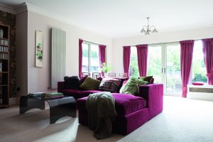 Large living room with purple sofa