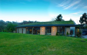 House with green roof