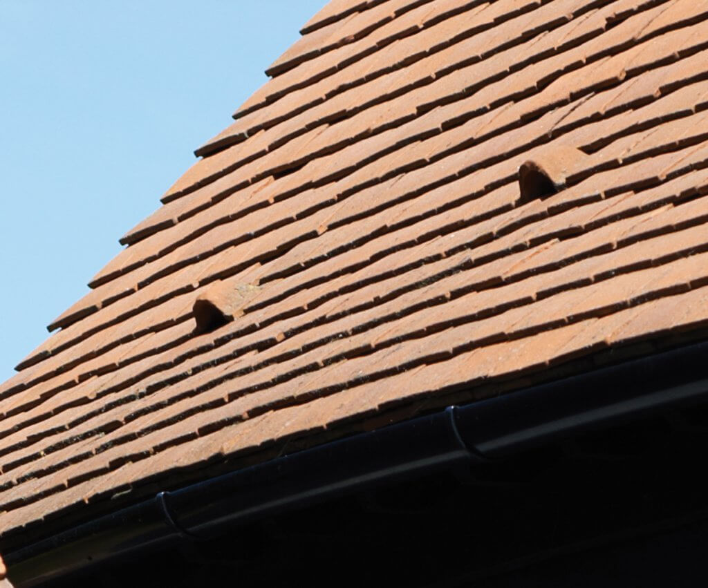 Bat exits on a tiled barn conversion roof