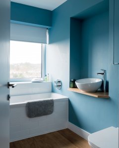 Contemporary bathroom with basin bowl