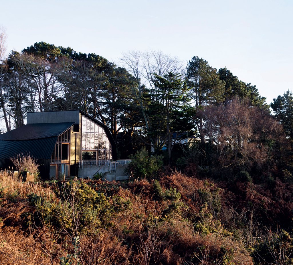 Coastal self-build by Mole Architects within a forest landscape