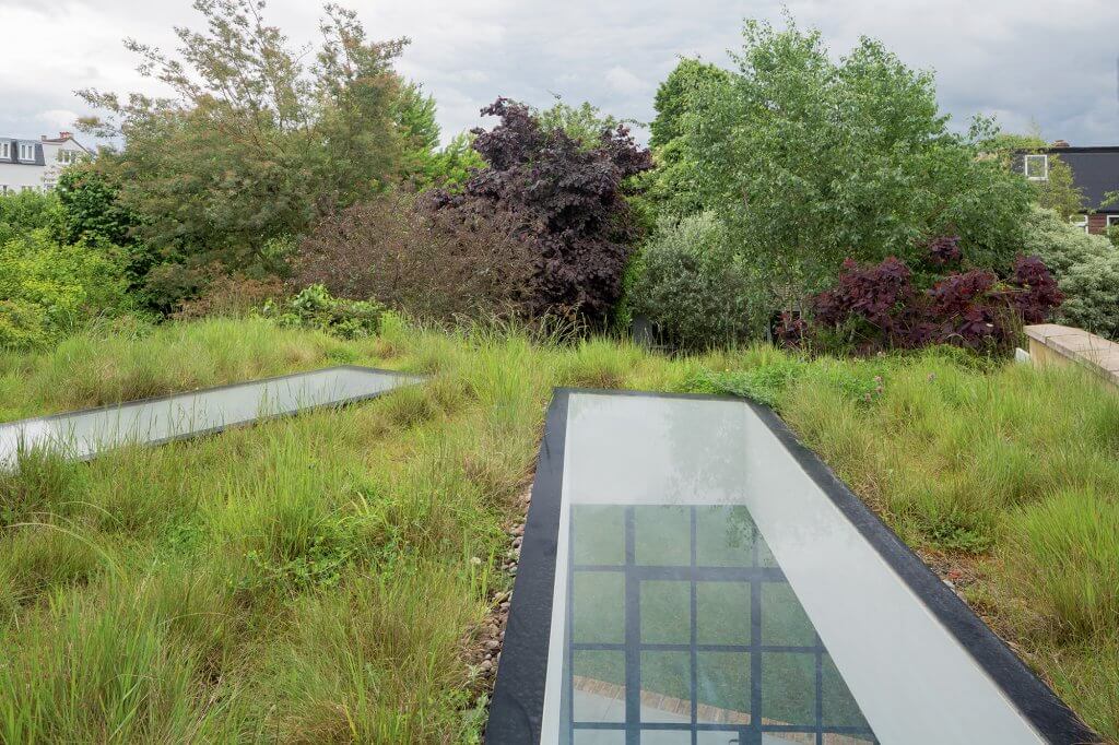 Green roof by Fraher Architects