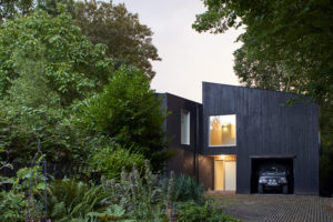 Contemporary black clad house