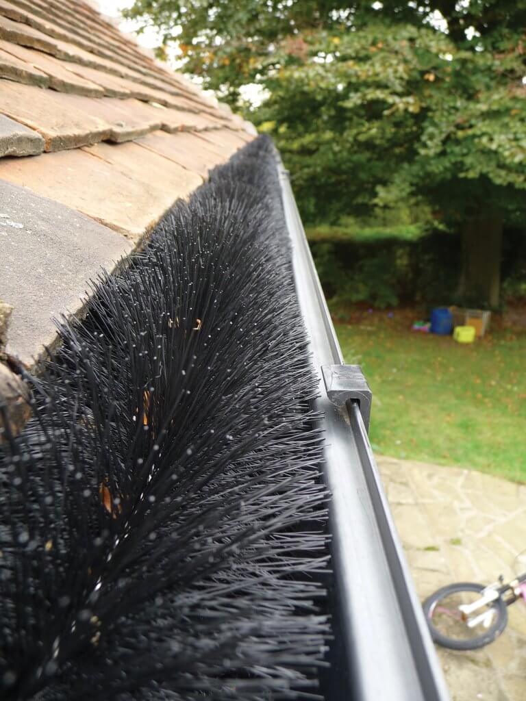 Hedgehog gutter brush