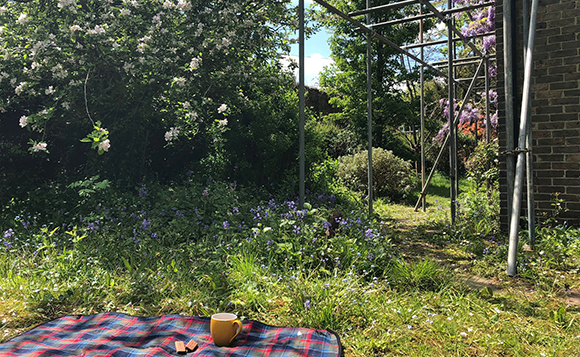 Before renovation starts, a cup of tea on back garden with scaffolding