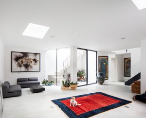 Basement with large glazed doors and rooflights
