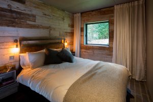 Timber clad bedroom