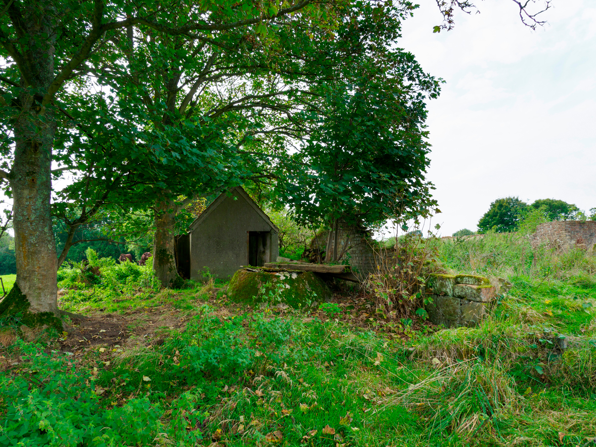 Rural plot in Kent with rundown structure