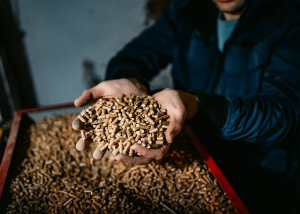 Biomass Boilers Explained – Is this Heating System Right for Your Project?