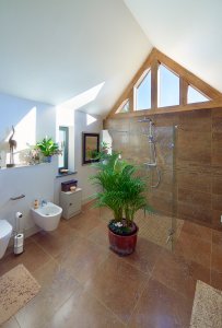 Walk in shower in modern oak frame home