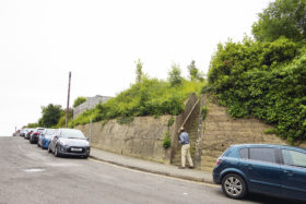 Planning consultant looking at overgrown plot in East Sussex