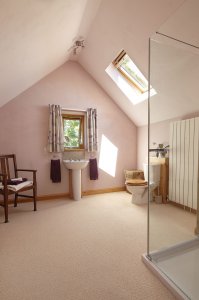 Bathroom with walk in shower