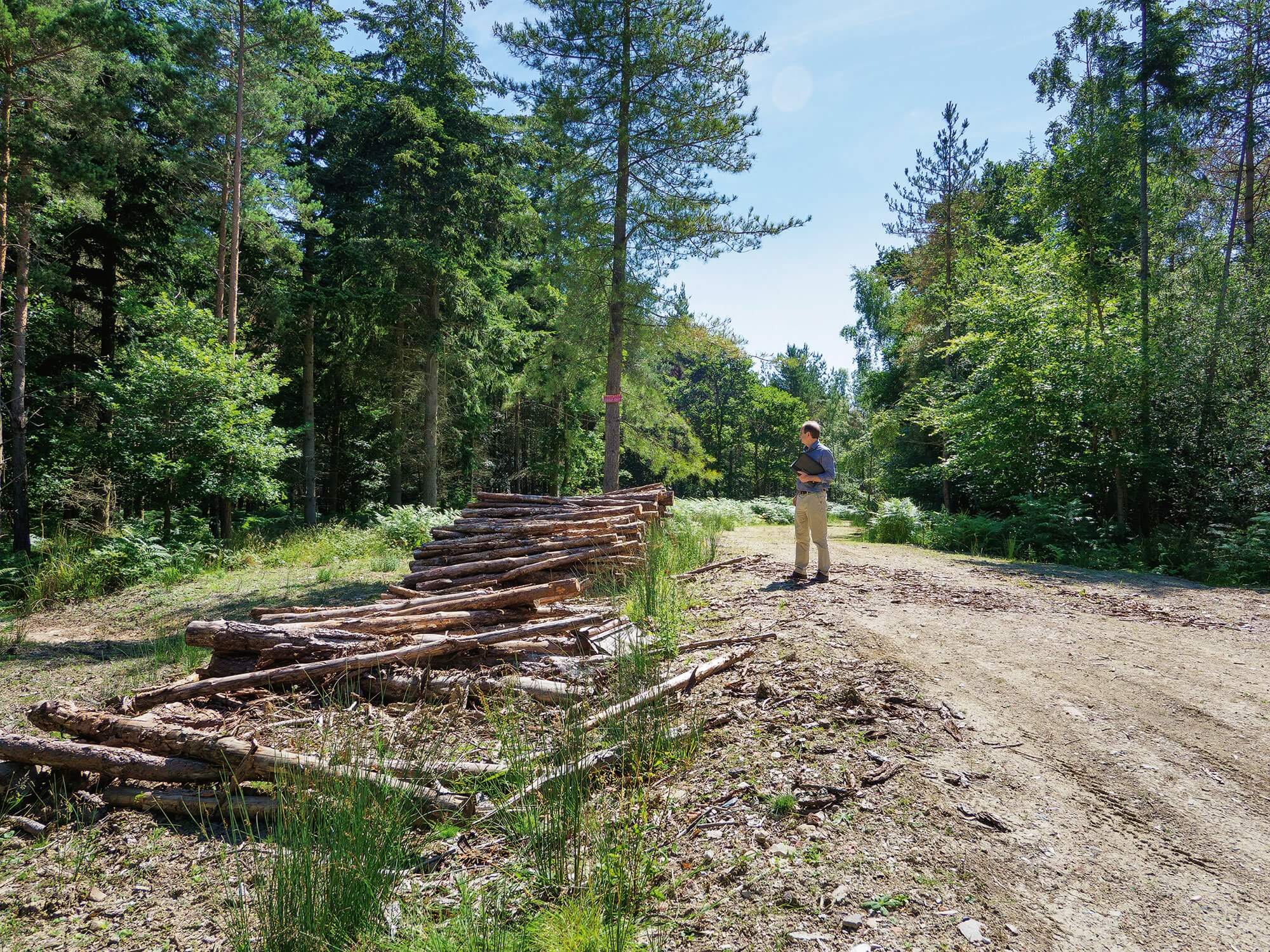 Mike Dade looking at woodland in West Sussex