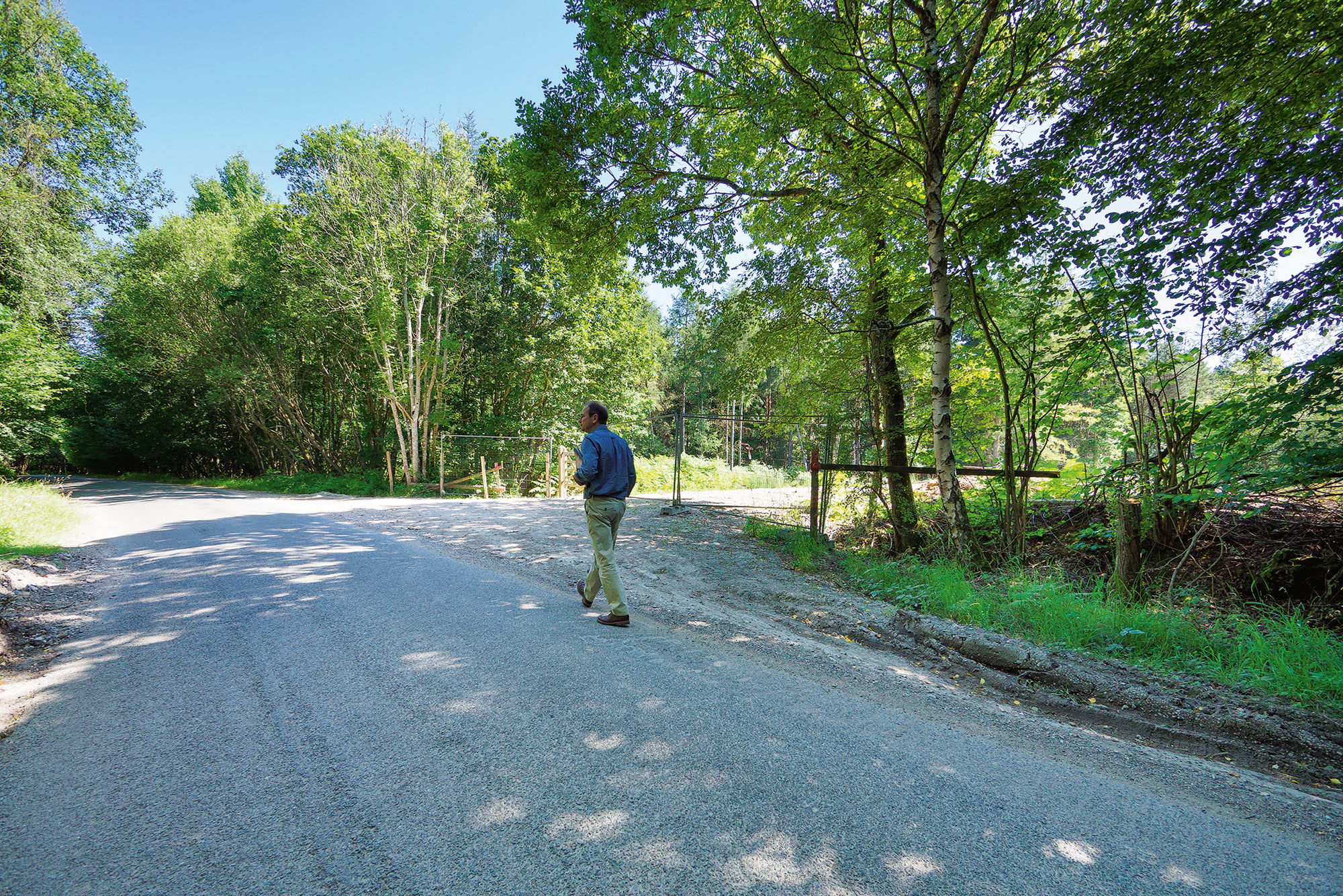 Mike Dade looking at woodland in West Sussex