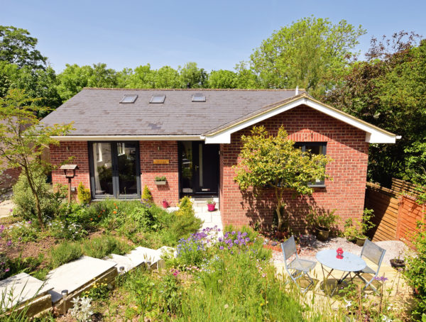 Wild front garden of brick bungalow