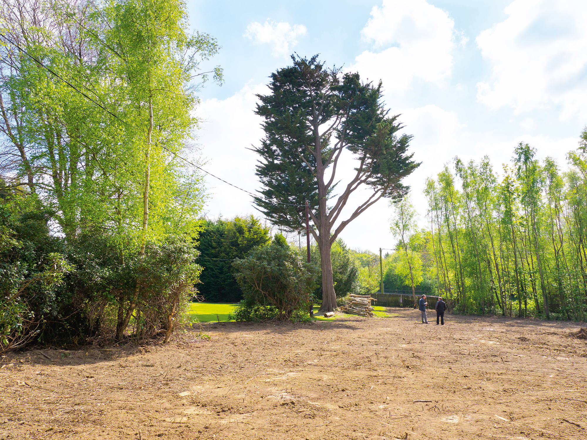 garden infill plot in Kent with tall trees
