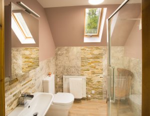 Bathroom with rooflight