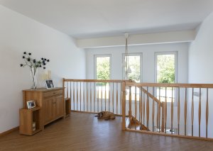 Dog resting on first floor landing