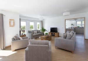 Living room with grey sofas