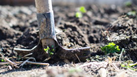 Shovel in soil