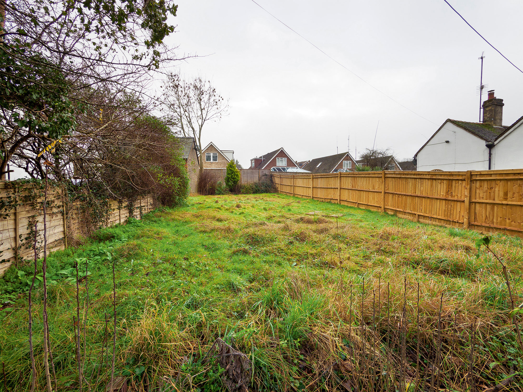 Mike Dade looking at a plot