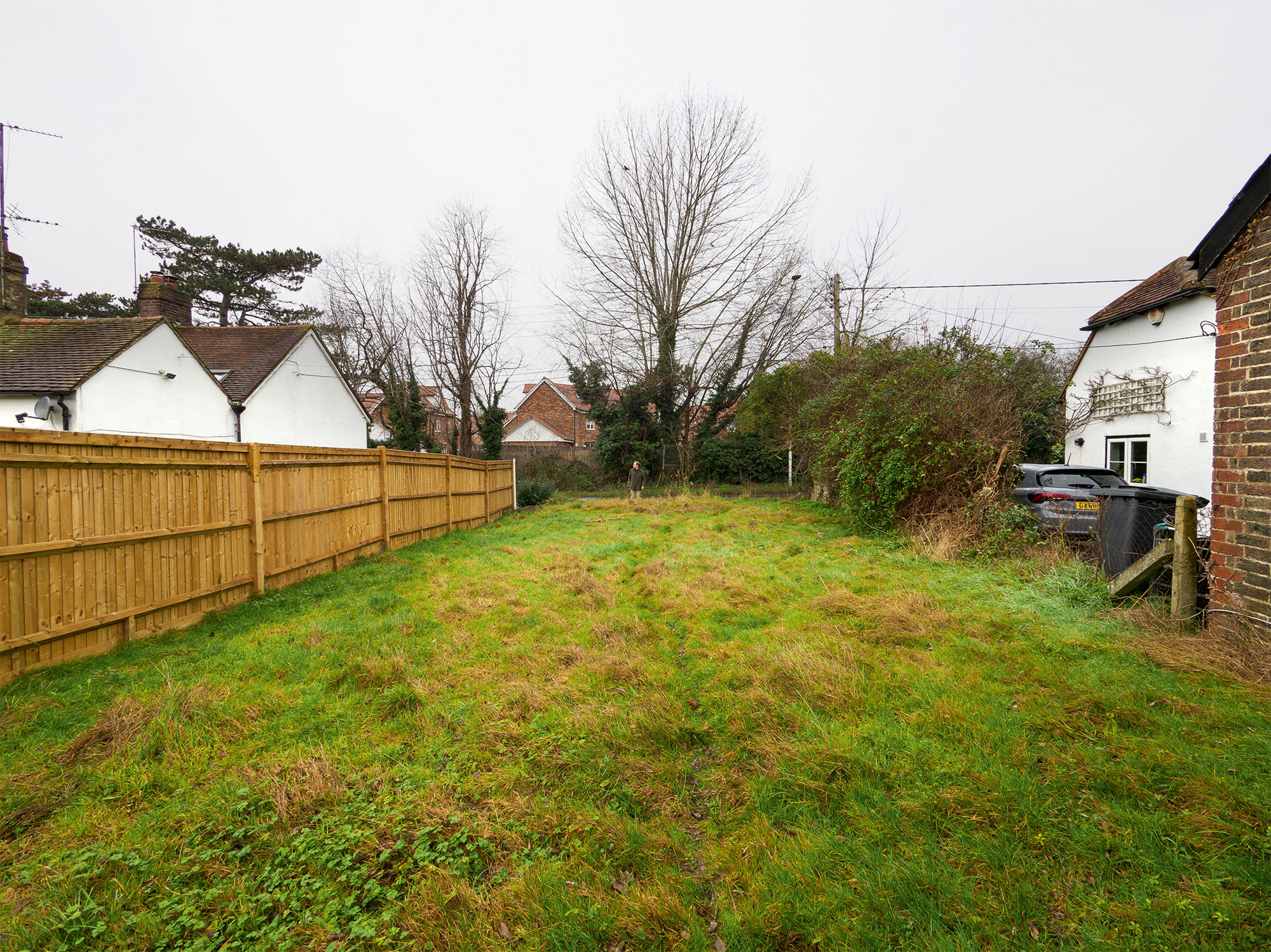 Mike Dade looking at a plot