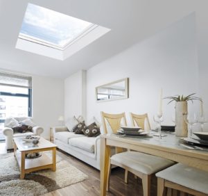 Rooflight Extension Interior