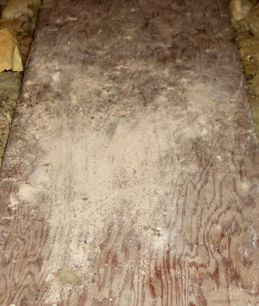 How to recognise active woodworm infestations