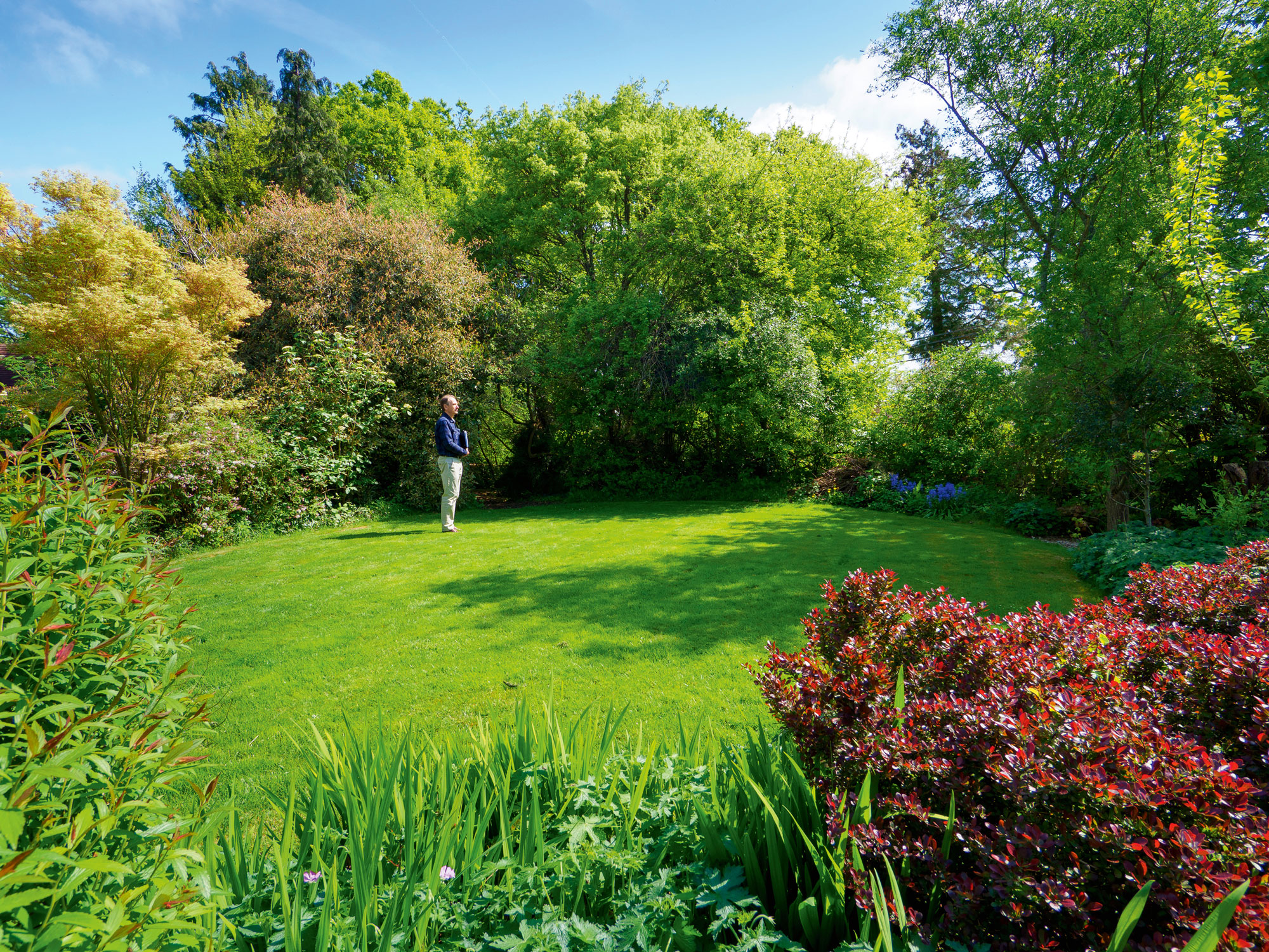 Self build plot in Dorset