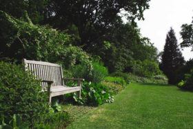 Garden with foliage in summer