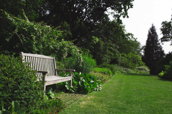 Garden with foliage in summer