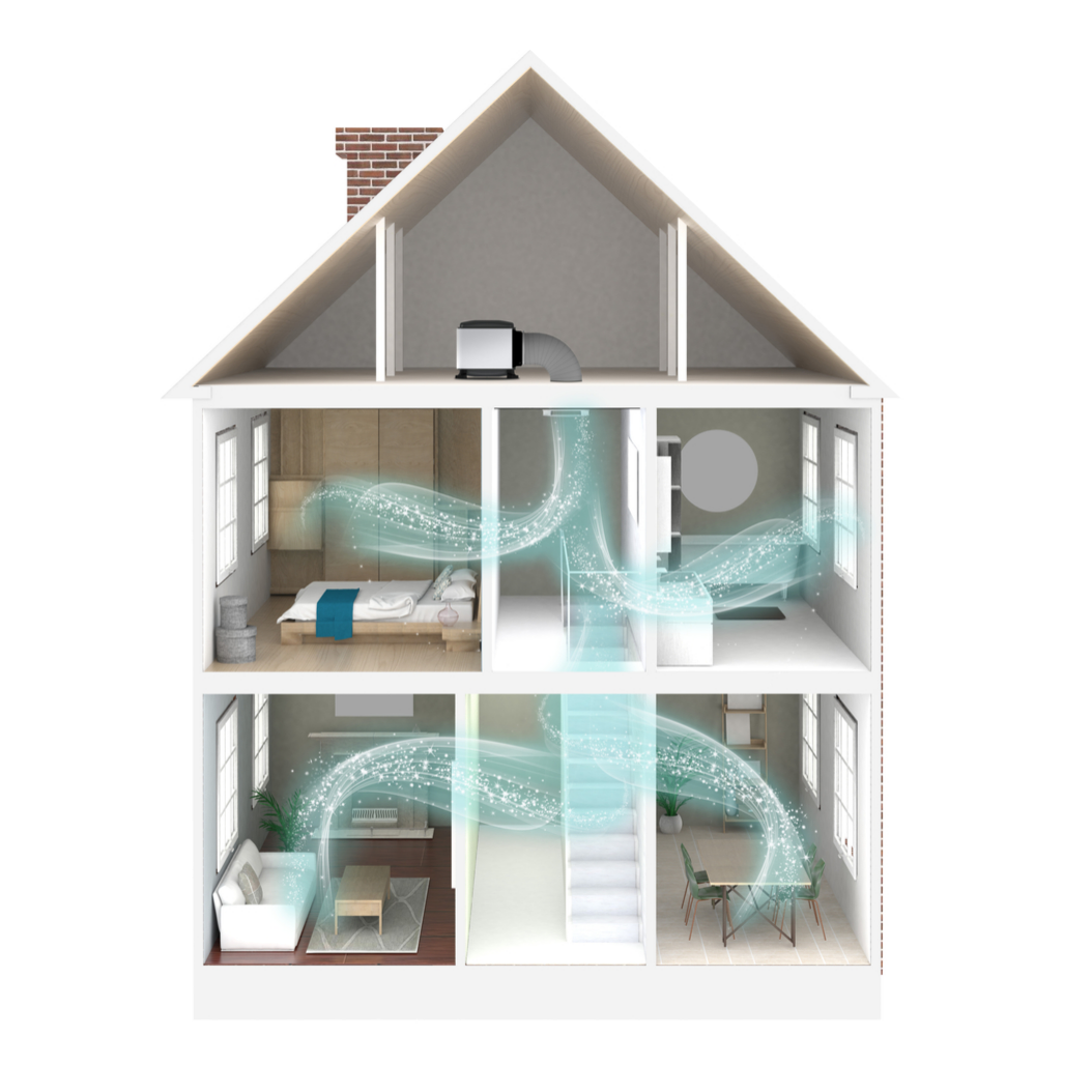 Whole home ventilation system