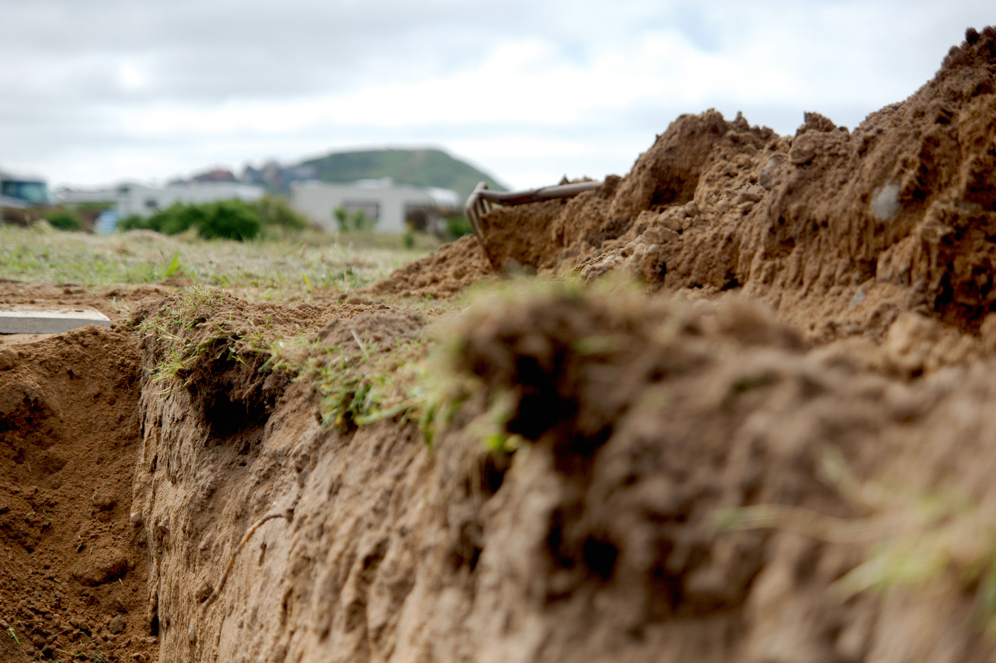 Dug out mud during soil survey