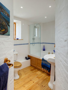 Bathroom with wooden floorboard