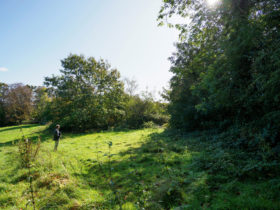 Man standing in rural clearing with a clipboard