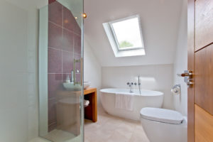 White showeroom and bathroom with skylight