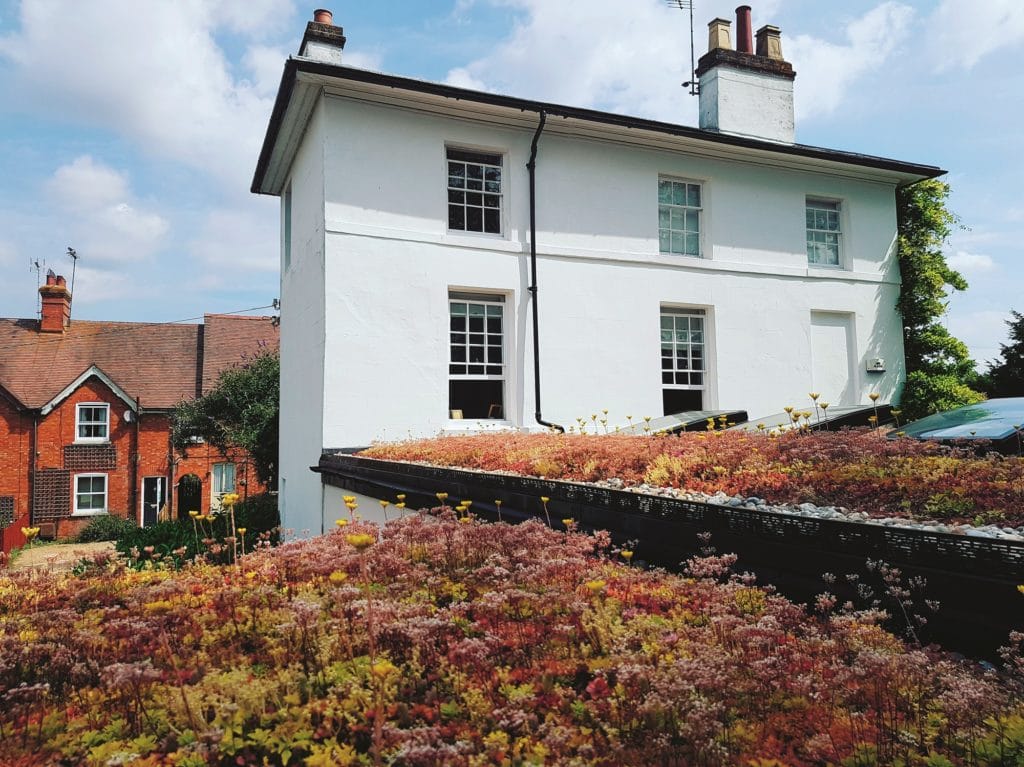 Green roof from Bridgman Landscapes
