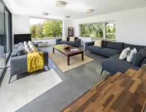 light-filled living room